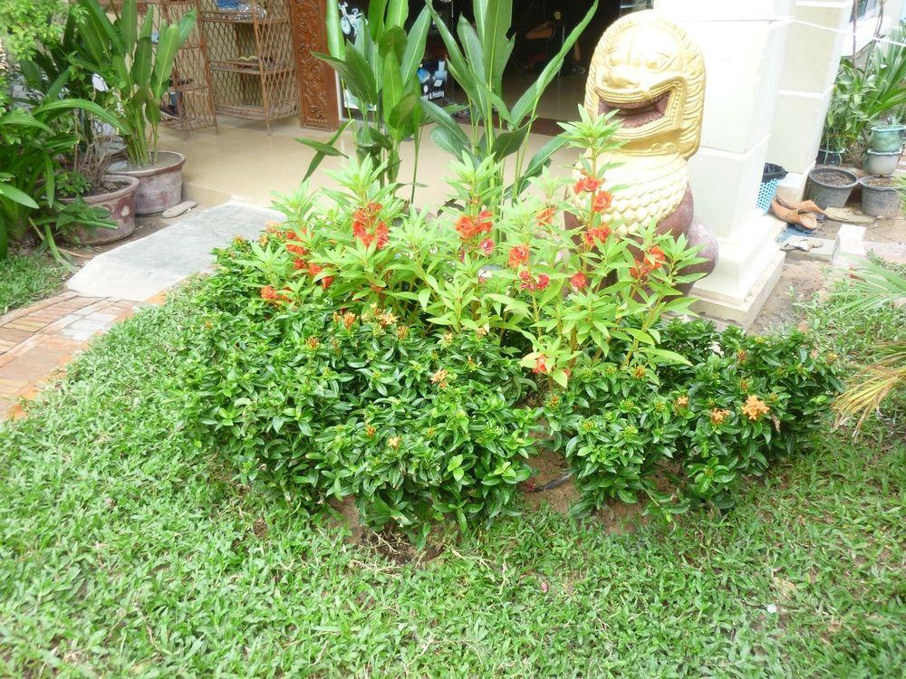 Angkor Reas Guesthouse Siem Reap Ngoại thất bức ảnh