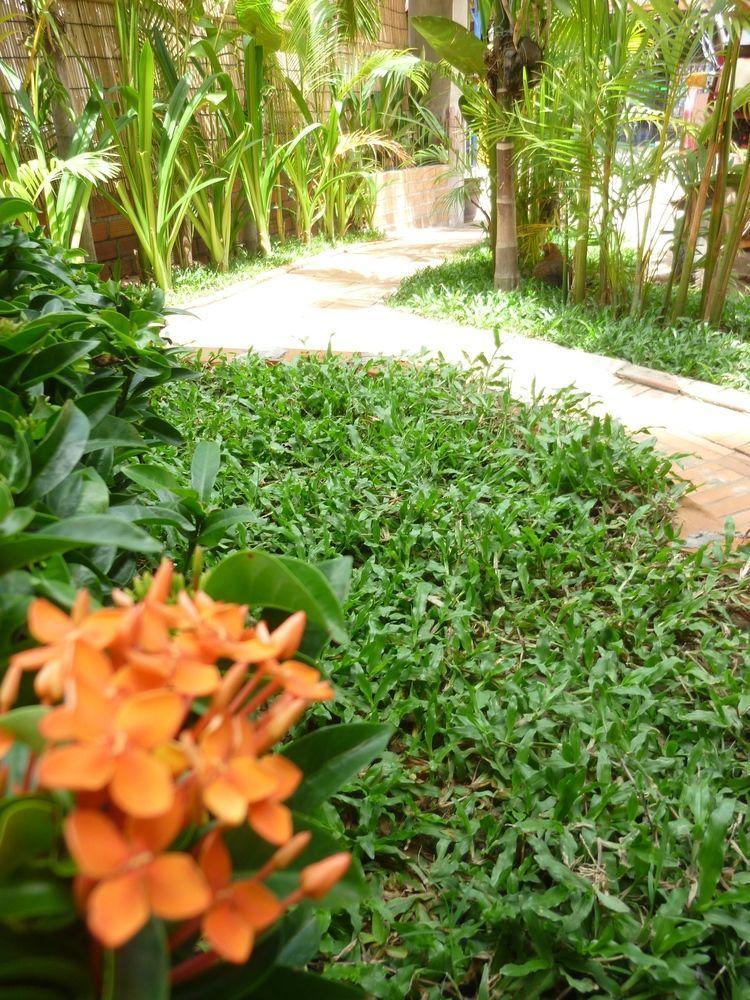 Angkor Reas Guesthouse Siem Reap Ngoại thất bức ảnh